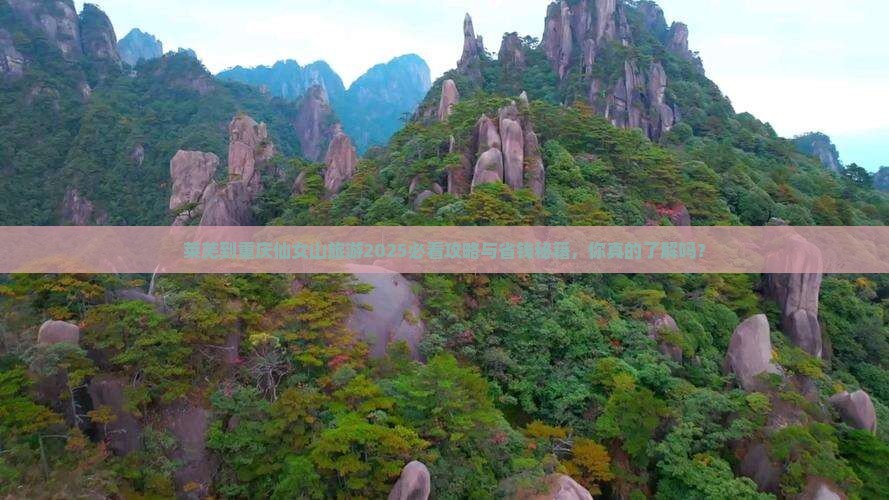 莱芜到重庆仙女山旅游