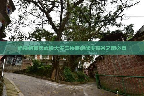 酒泉到重庆武隆天生三桥旅游