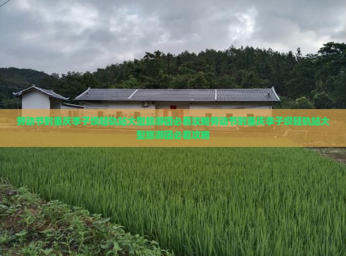劳动节到重庆李子坝轻轨站大型旅游团