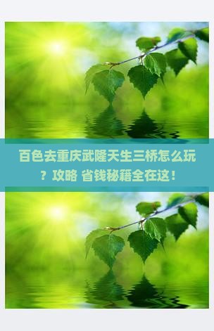 百色去重庆武隆天生三桥景点