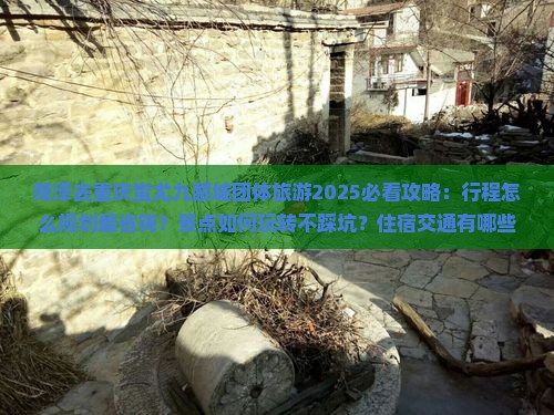 菏泽去重庆蚩尤九黎城团体旅游