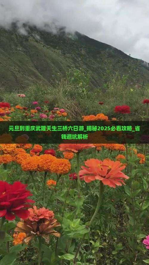 元旦到重庆武隆天生三桥六日游