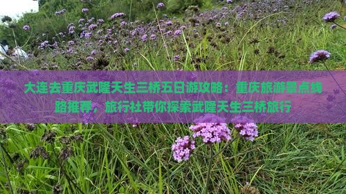 大连去重庆武隆天生三桥五日游