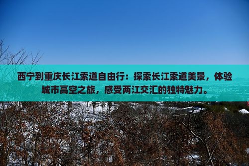 西宁到重庆长江索道自由行
