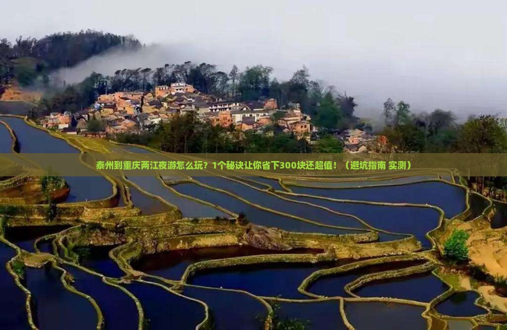 泰州到重庆两江夜游个人游