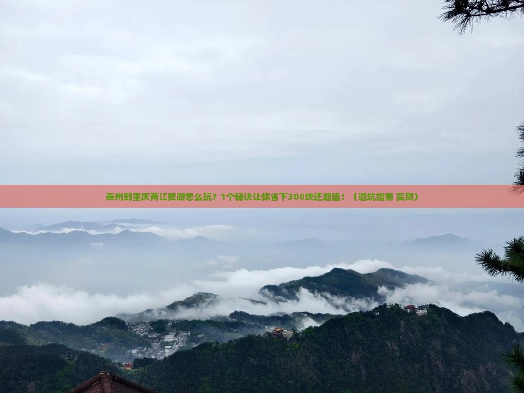 泰州到重庆两江夜游个人游