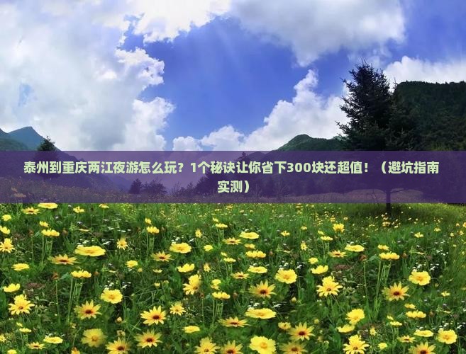 泰州到重庆两江夜游个人游