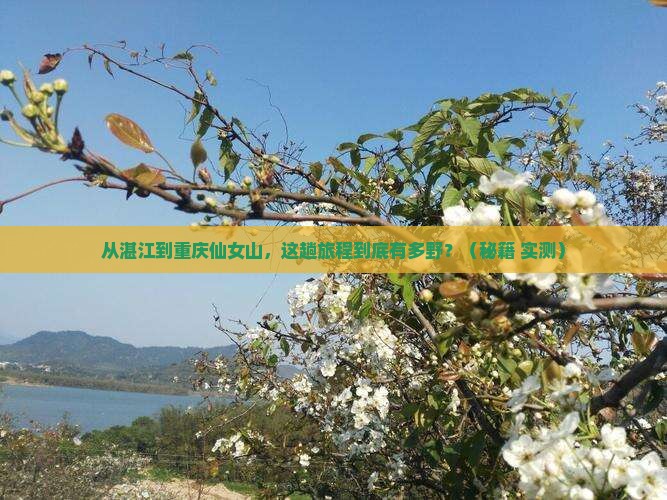 湛江到重庆仙女山旅游