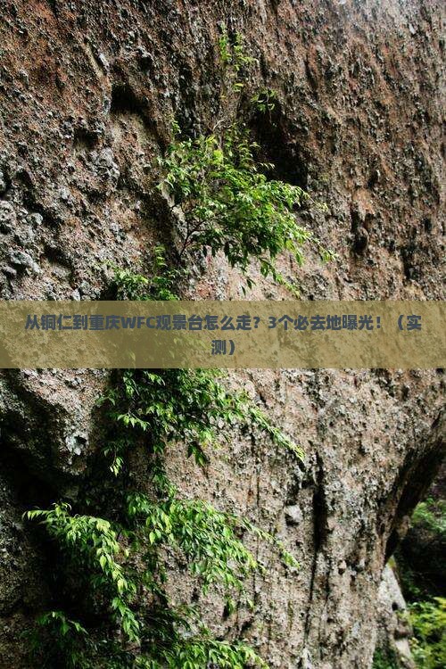 铜仁去重庆wfc观景台必去地