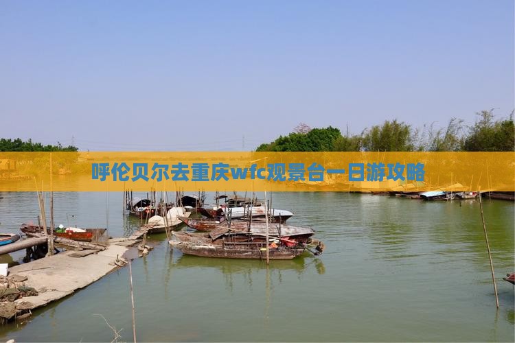 呼伦贝尔去重庆wfc观景台一日