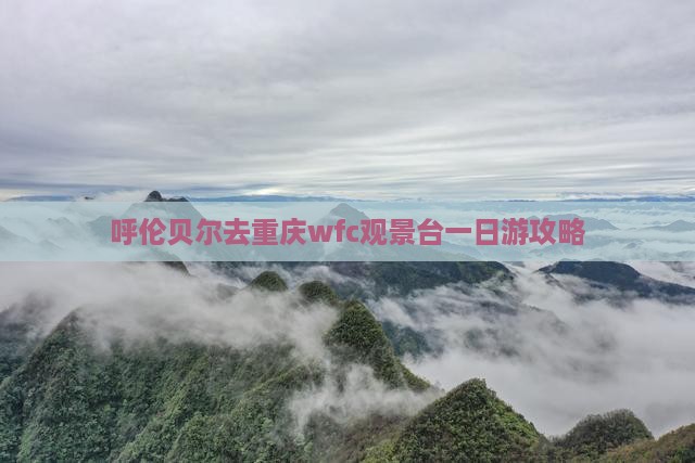 呼伦贝尔去重庆wfc观景台一日