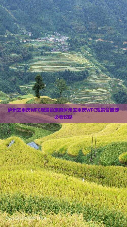泸州去重庆wfc观景台旅游