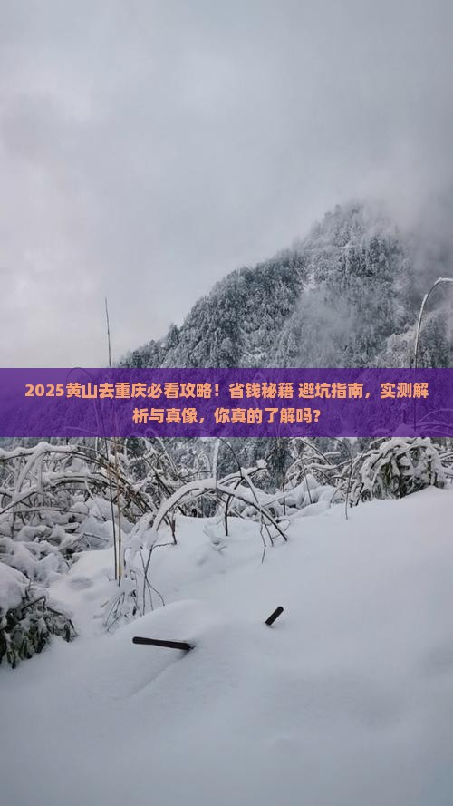 黄山去重庆旅行社