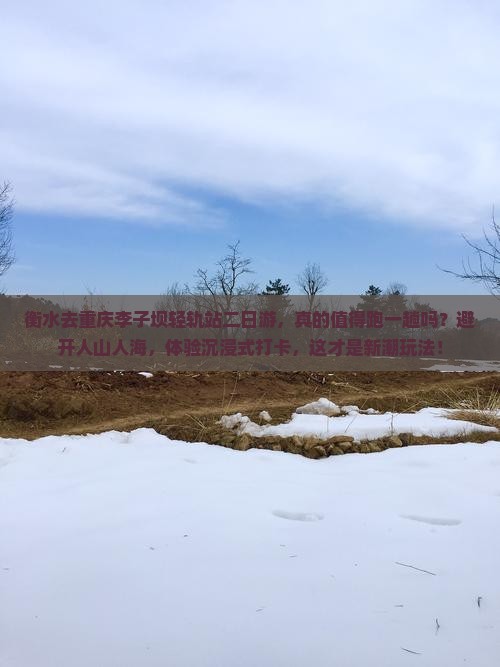 衡水去重庆李子坝轻轨站二日游