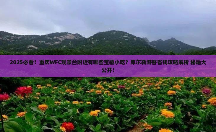 库尔勒去重庆wfc观景台旅游小吃