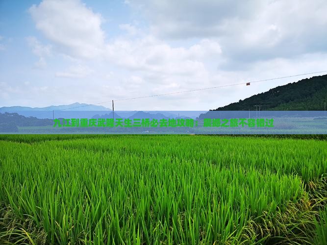 九江到重庆武隆天生三桥必去地