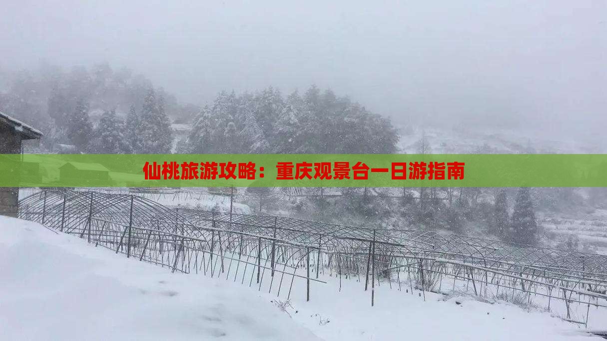 仙桃去重庆wfc观景台一日