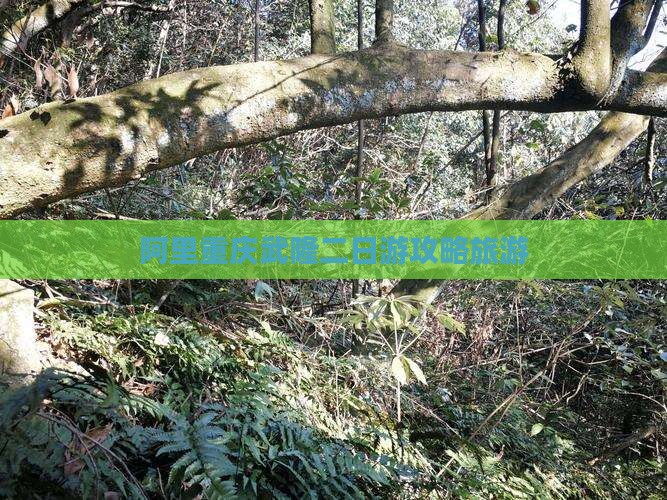 阿里去重庆武隆二日游