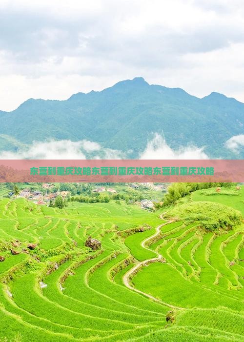 东营到重庆攻略