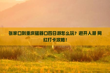 张家口到重庆磁器口四日游