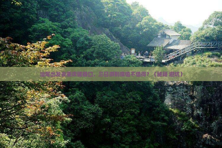 汕尾到重庆磁器口三日游