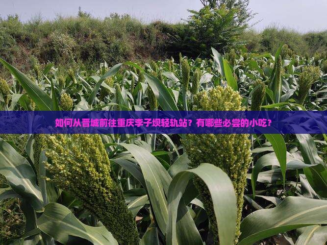 如何从晋城前往重庆李子坝轻轨站？有哪些必尝的小吃？