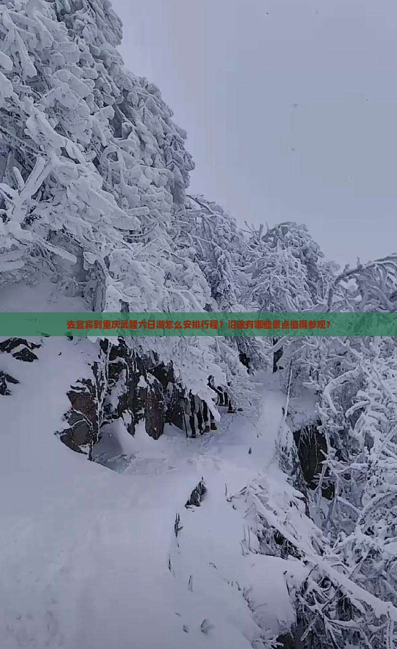 去宜宾到重庆武隆六日游怎么安排行程？沿途有哪些景点值得参观？