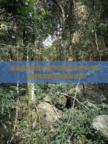 去宜宾到重庆武隆六日游怎么安排行程？沿途有哪些景点值得参观？