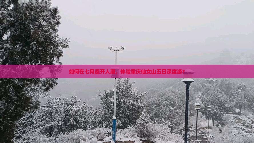 如何在七月避开人潮，体验重庆仙女山五日深度游？