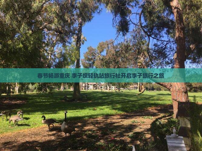 春节畅游重庆 李子坝轻轨站旅行社开启李子旅行之旅