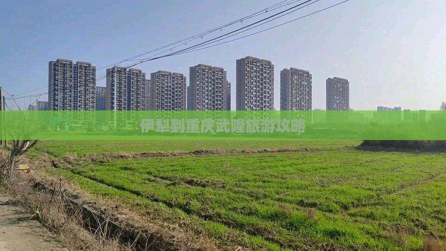 伊犁到重庆武隆旅游攻略