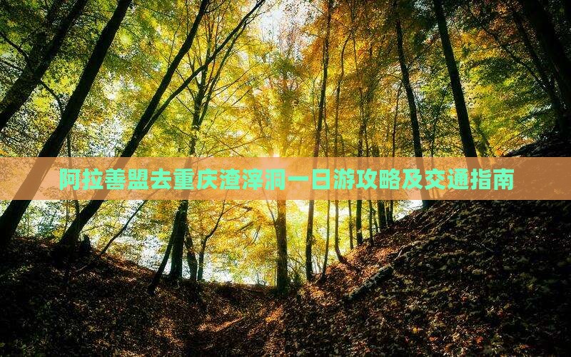 阿拉善盟去重庆渣滓洞一日游攻略及交通指南