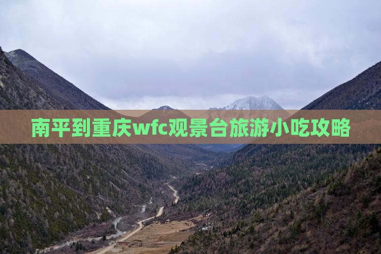 南平到重庆wfc观景台旅游小吃攻略