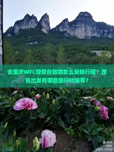 去重庆WFC观景台旅游怎么安排行程？茂名出发有哪些旅行社推荐？