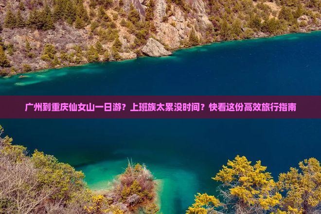 广州到重庆仙女山一日游？上班族太累没时间？快看这份高效旅行指南
