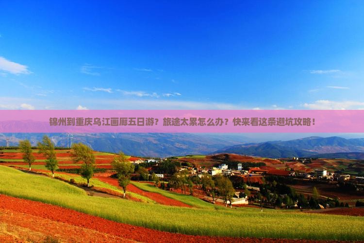 锦州到重庆乌江画廊五日游？旅途太累怎么办？快来看这条避坑攻略！