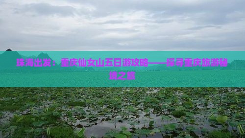 珠海出发：重庆仙女山五日游攻略——探寻重庆旅游秘境之旅