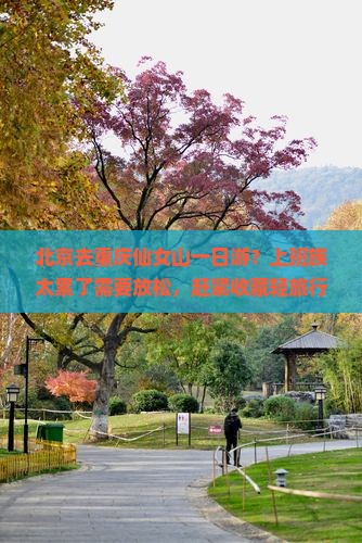 北京去重庆仙女山一日游？上班族太累了需要放松，赶紧收藏轻旅行