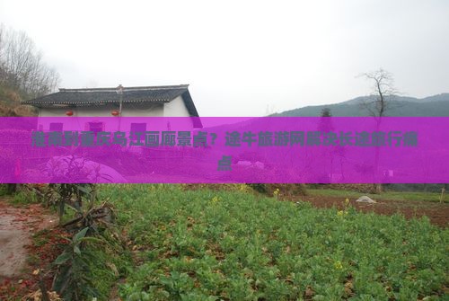 淮南到重庆乌江画廊景点？途牛旅游网解决长途旅行痛点