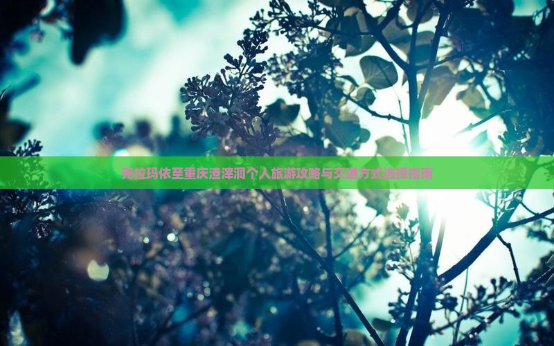 克拉玛依至重庆渣滓洞个人旅游攻略与交通方式选择指南