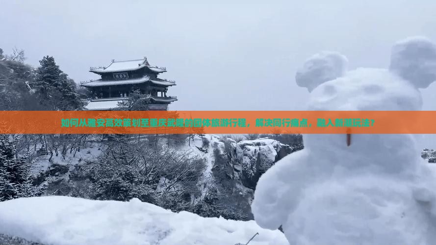 如何从雅安高效策划至重庆武隆的团体旅游行程，解决同行痛点，融入新潮玩法？