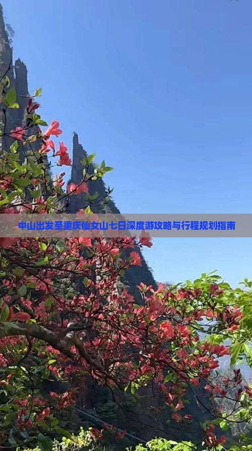 中山出发至重庆仙女山七日深度游攻略与行程规划指南