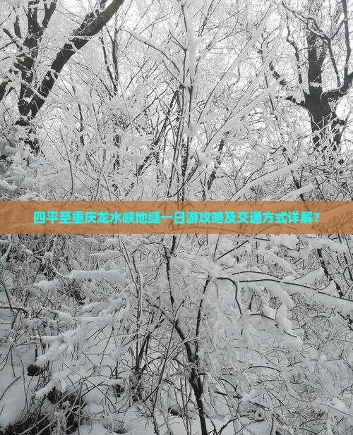 四平至重庆龙水峡地缝一日游攻略及交通方式详解？