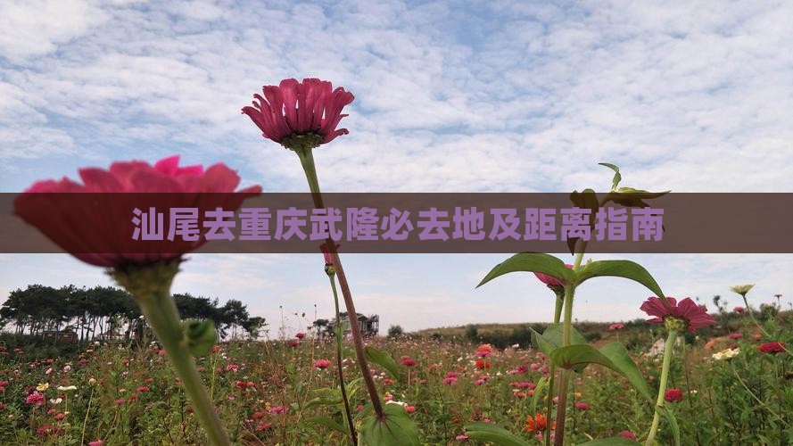 汕尾去重庆武隆必去地及距离指南