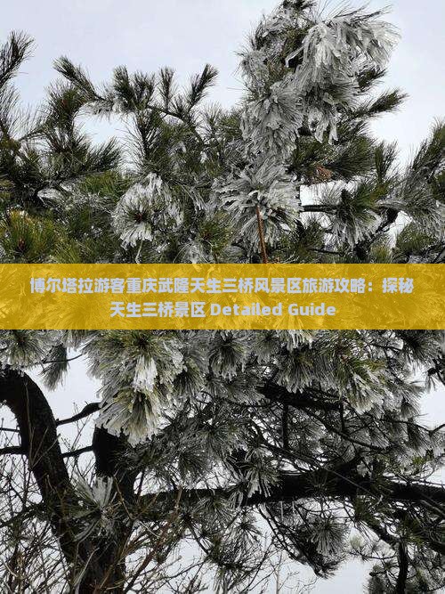 博尔塔拉游客重庆武隆天生三桥风景区旅游攻略：探秘天生三桥景区 Detailed Guide