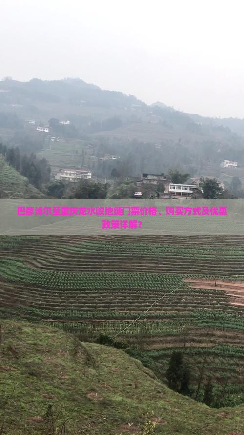 巴彦淖尔至重庆龙水峡地缝门票价格、购买方式及优惠政策详解？