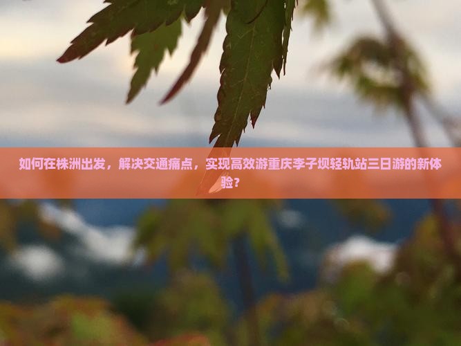 如何在株洲出发，解决交通痛点，实现高效游重庆李子坝轻轨站三日游的新体验？