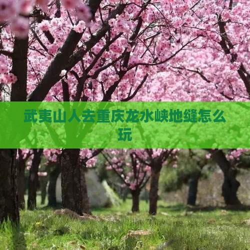 武夷山人去重庆龙水峡地缝怎么玩