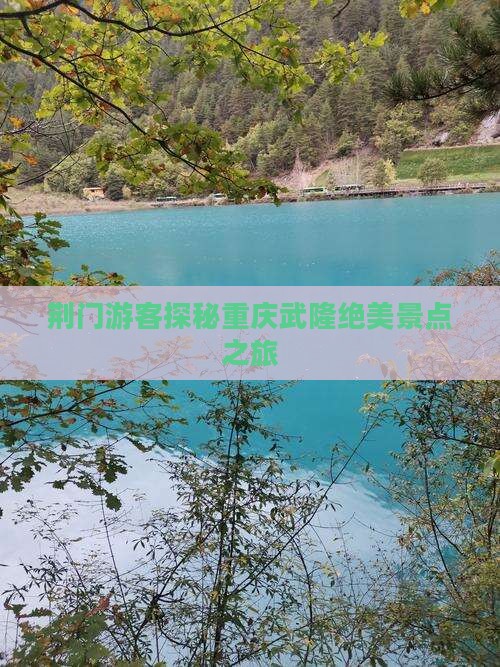 荆门游客探秘重庆武隆绝美景点之旅