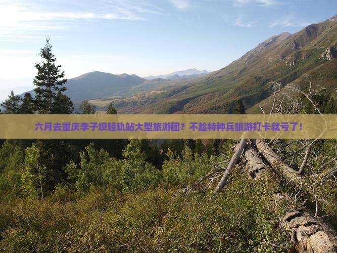 六月去重庆李子坝轻轨站大型旅游团？不趁特种兵旅游打卡就亏了！
